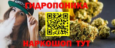 гидра Заволжье